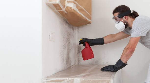 Professional Attic Mold Remediation technician working in Highspire, PA