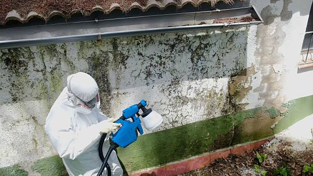 Top rated local Attic Mold Remediation specialists in Highspire, PA